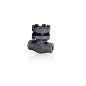 Check Valve Bonney Forge CS A105 Class 800 NPT/SW