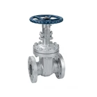 Forger Steell Gate Valve 150 300 600 1